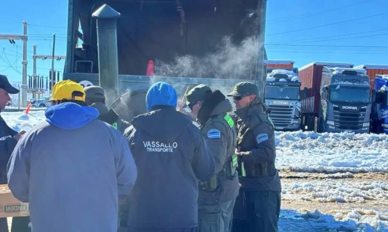 camiones varados, paso a Chile, pasos fronterizos, Pino Hachado, Cristo Redentor, temporal de nieve, camioneros, transporte internacional, transporte de cargas, Neuquén, Mendoza, cordillera de los Andes, logística, comercio exterior