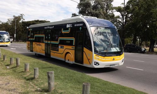 trambus