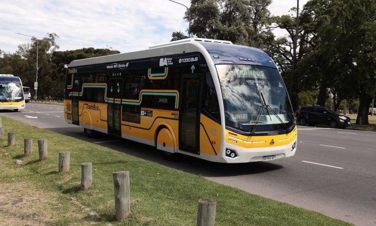 trambus