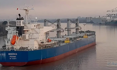 Vía Navegable Troncal, VNA, hidrovía, transporte fluvial, navegación, puertos, comercio exterior, exportaciones, costos logísticos, peajes, infraestructura portuaria, agroexportación, Gran Rosario