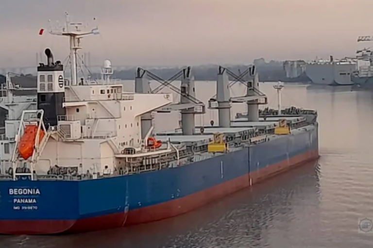 Vía Navegable Troncal, VNA, hidrovía, transporte fluvial, navegación, puertos, comercio exterior, exportaciones, costos logísticos, peajes, infraestructura portuaria, agroexportación, Gran Rosario